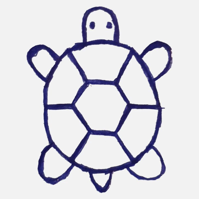 turtle shitty Design 23