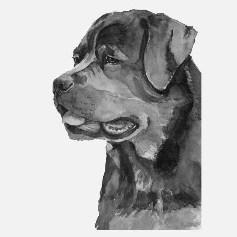 Rottweiler s/h