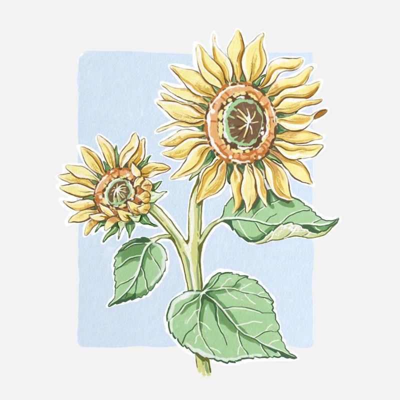 Sunflower flower - drawing