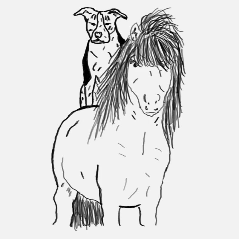 Pferd und Hund