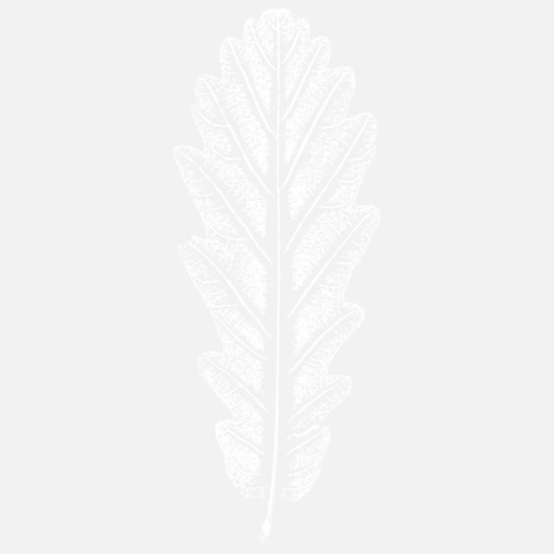 Feuille de chêne / Feuilles Empreinte: