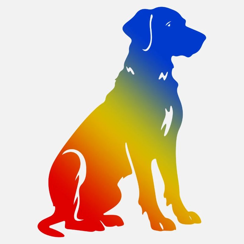 Dackel DachsHund Bunt Hund Bunt