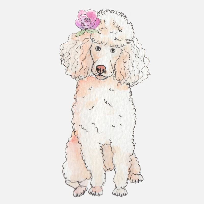 Caniche à fleur