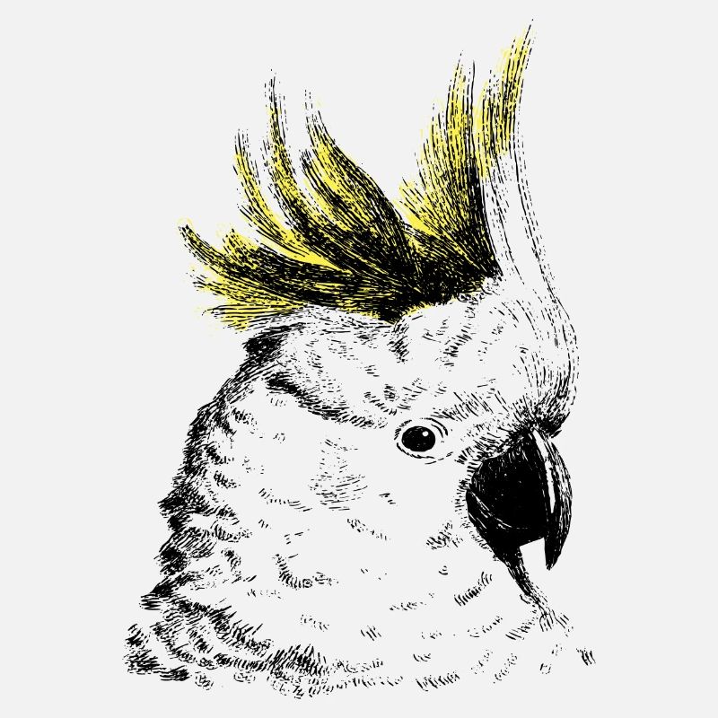Cockatoo