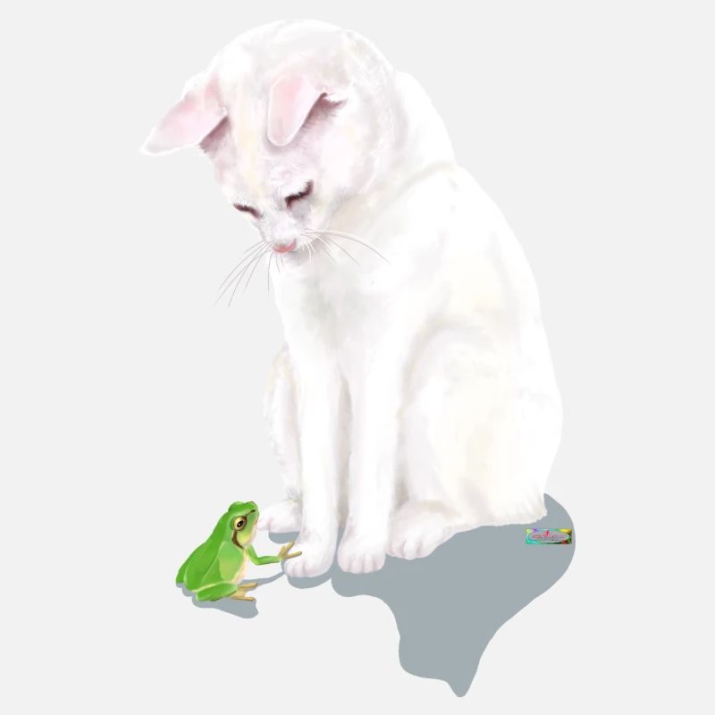 Chat blanc avec grenouille verte
