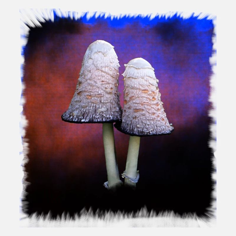 Weisse Pilze