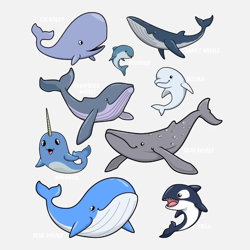 Diverses baleines kawaii