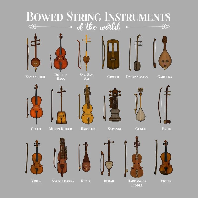 Various String Instruments