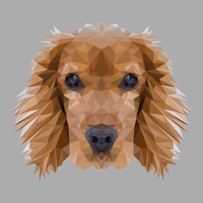 Cocker Spaniel Hund Polygondesign