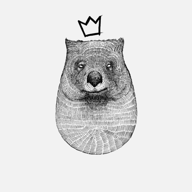 Roi Wombat