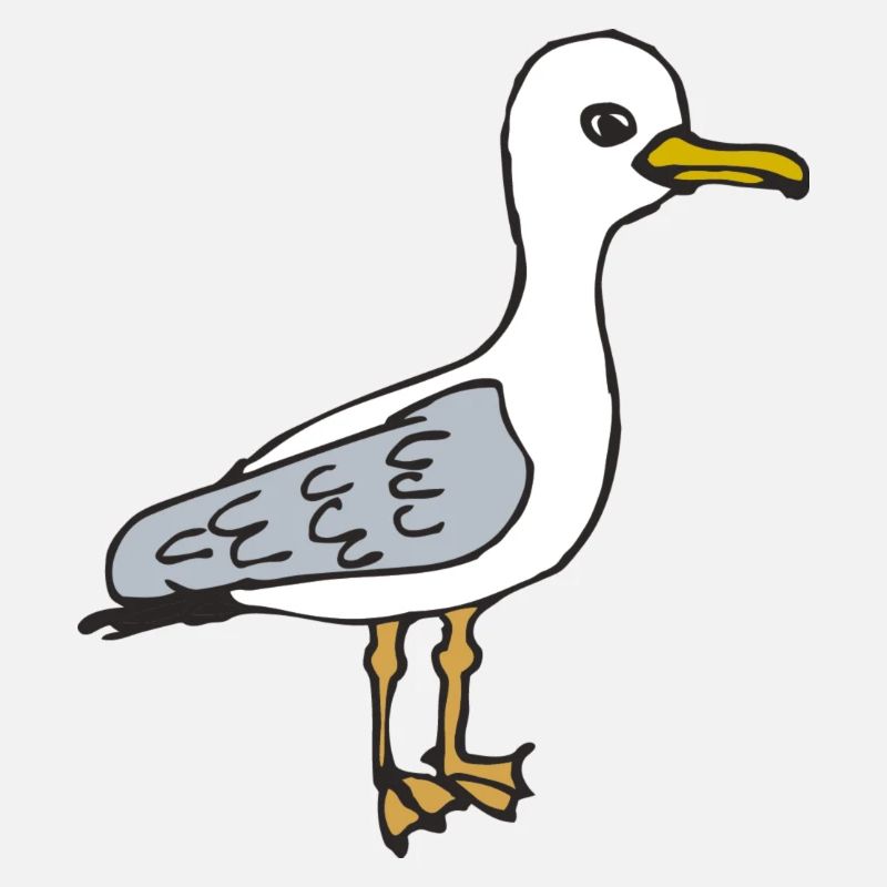 mouette