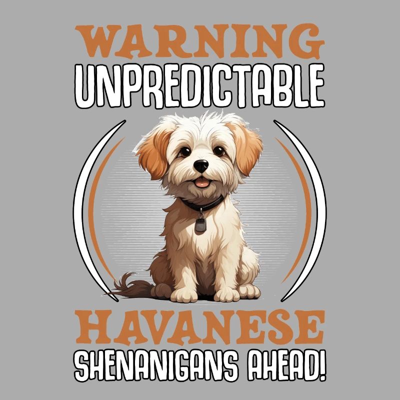 Warning unpredictable Havanese Shenanigans ahead