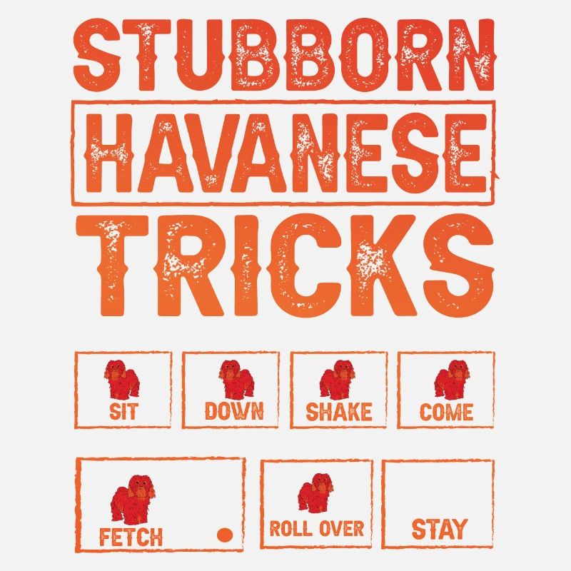Astuces bichons havanais tenaces