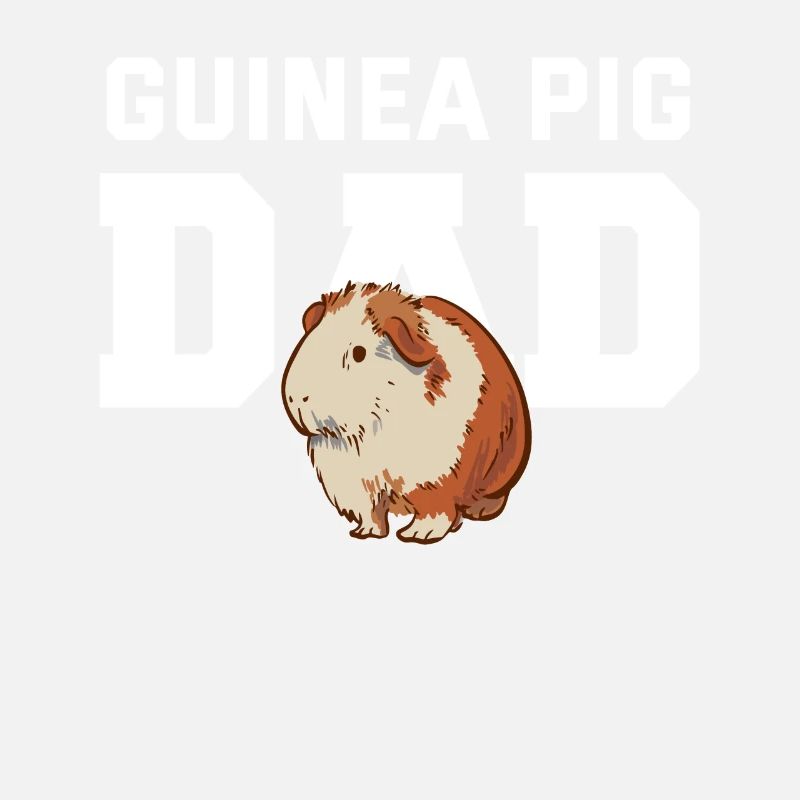 Cochon d’Inde Papa