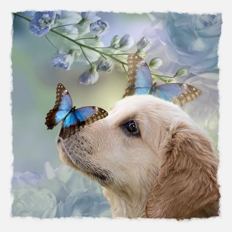 Chiot papillon chiot papillon mignon chien