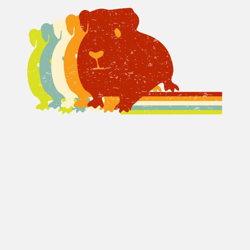 Cochon d’Inde, cochon d’Inde