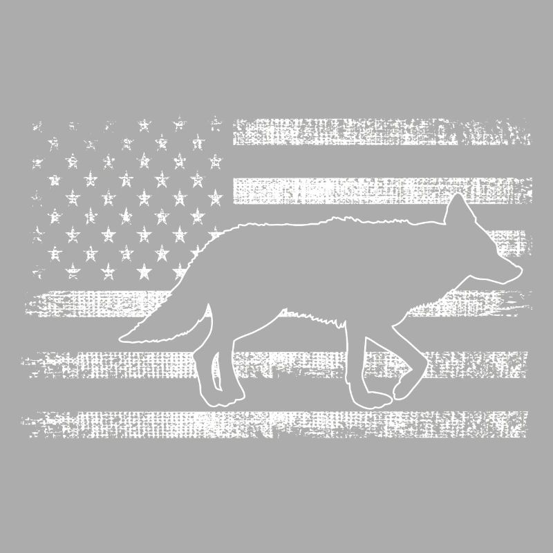 Conception de coyote pour les réacteurs de coyote