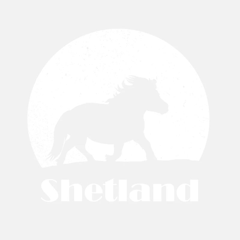 Shetland Pony Night