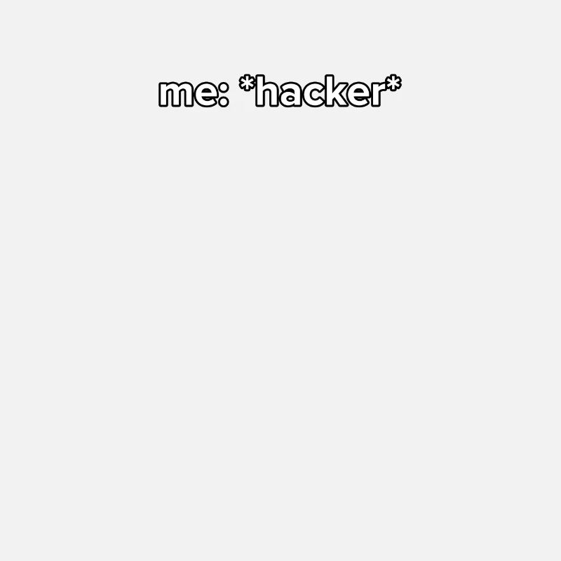 Drôle de hacker Meme