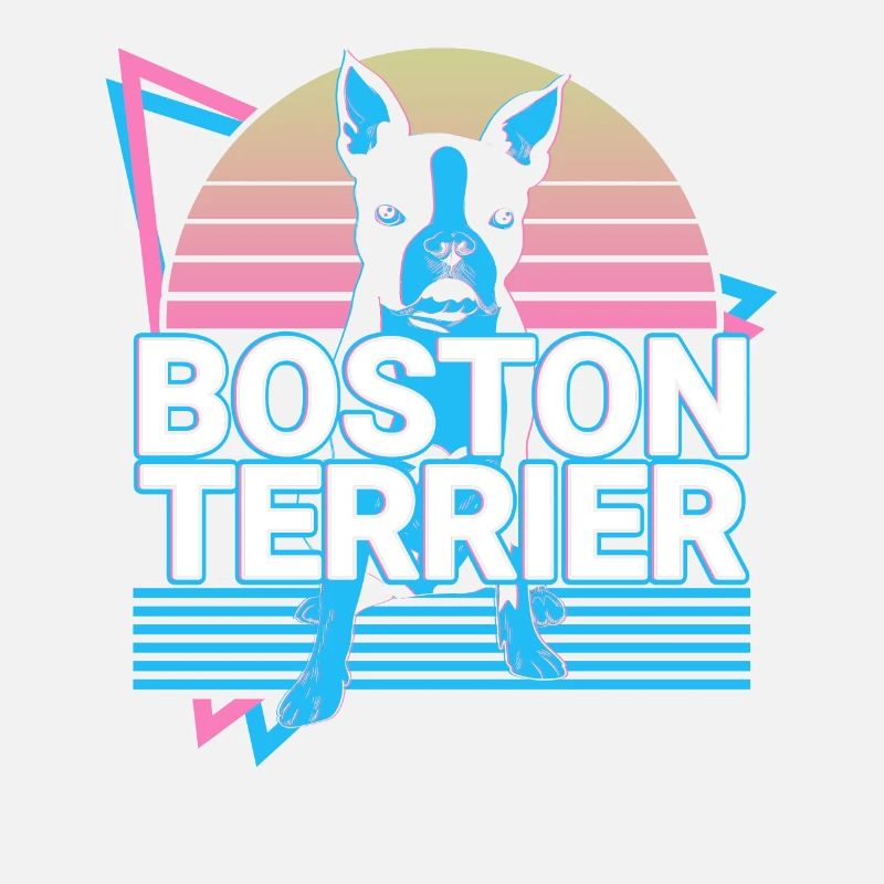 Boston Terrier Rétro