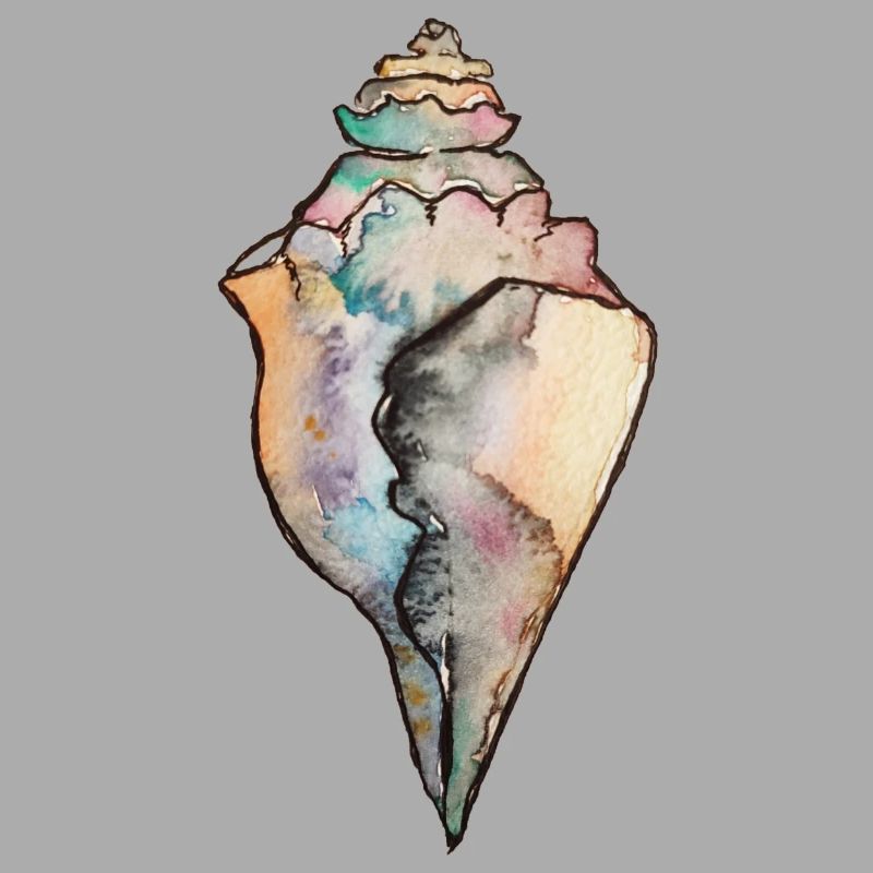 shell
