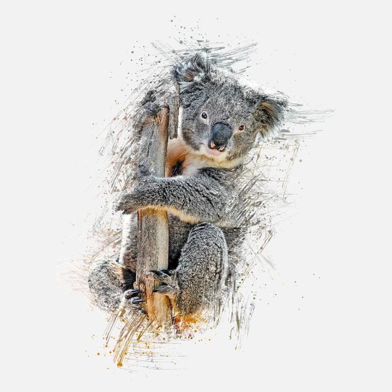 Koala bear