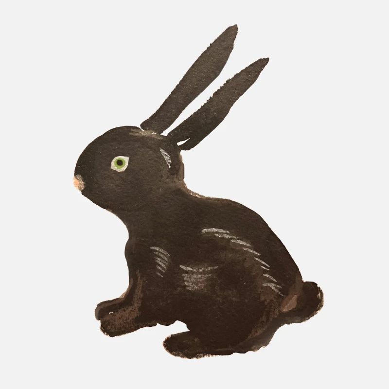 Lapin noir