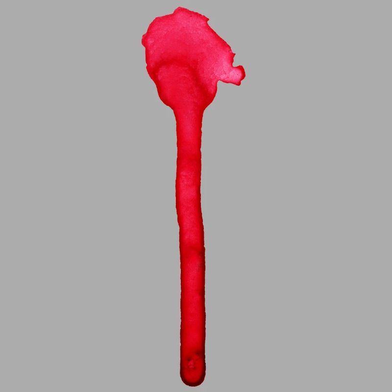Une éclaboussure de couleur