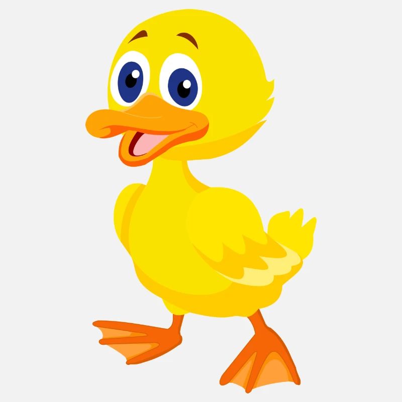 Cadeau canard jaune canard