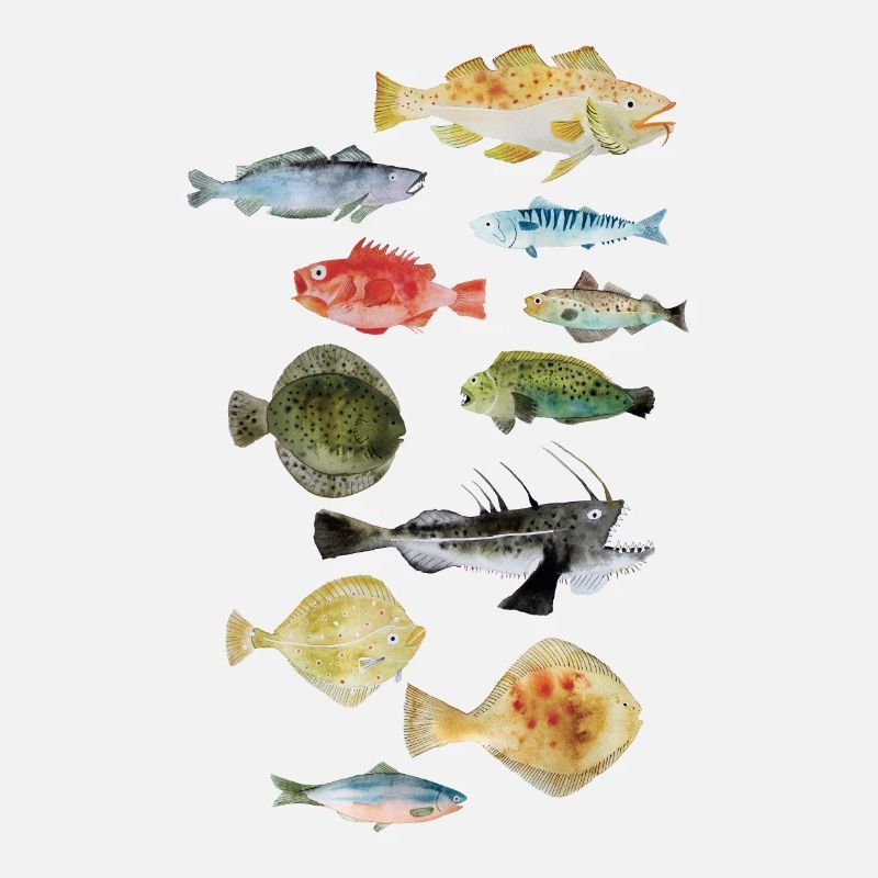 Poissons de la mer