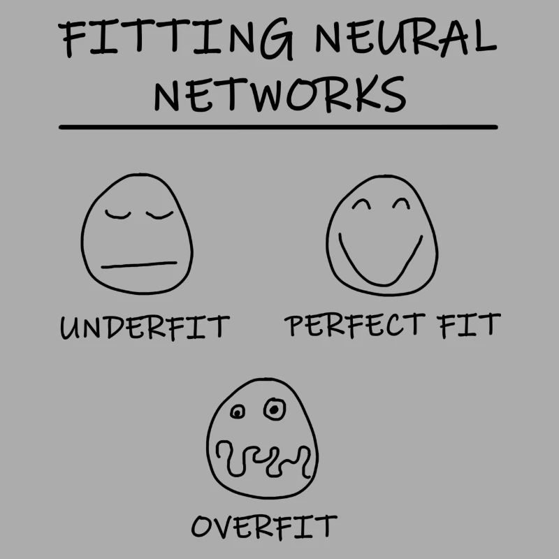 Datascience: Neural Networks Model Fitting (Black)