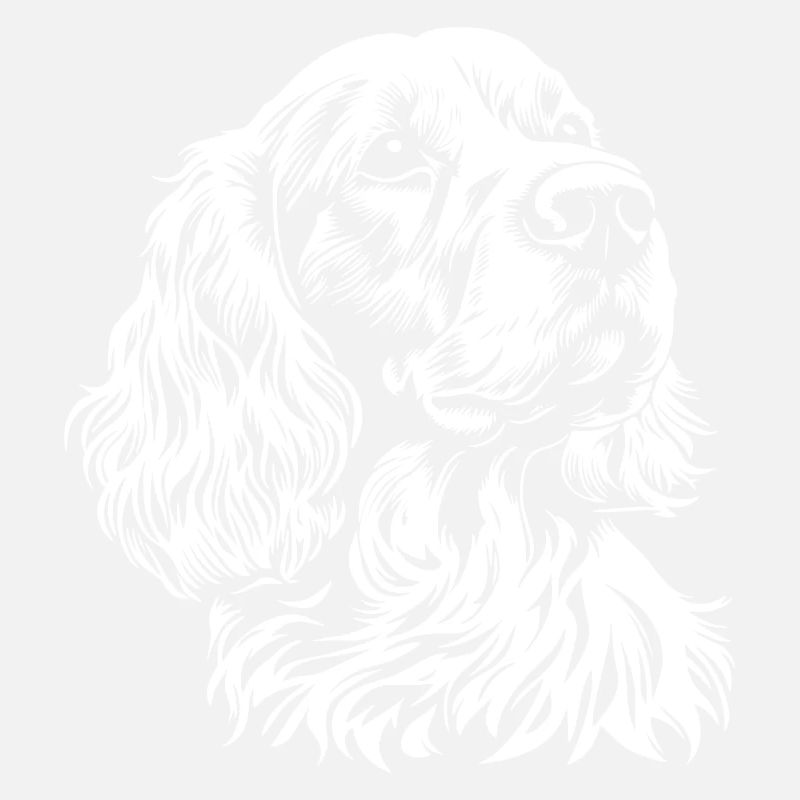 Cocker Spaniel - Fan de chiens