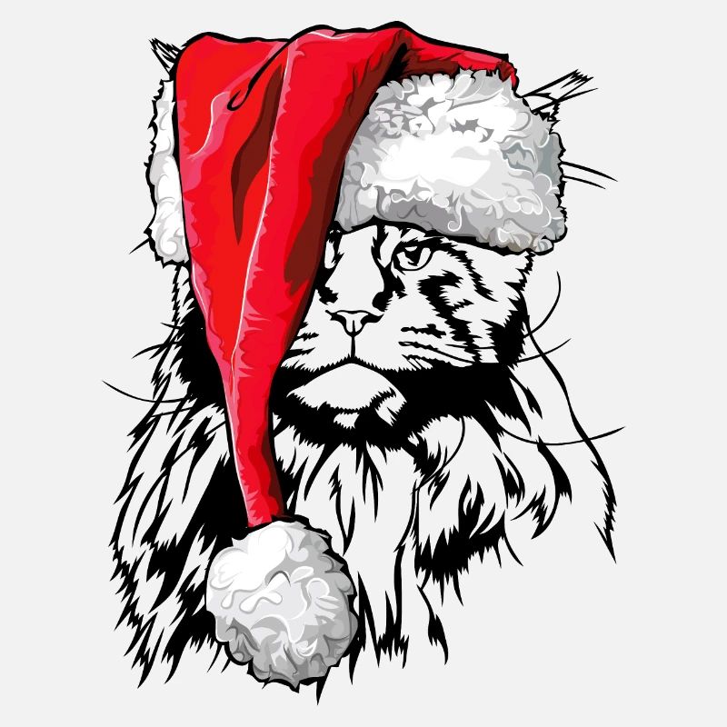 Père Noël Maine Coon Noël chat Wilsigns