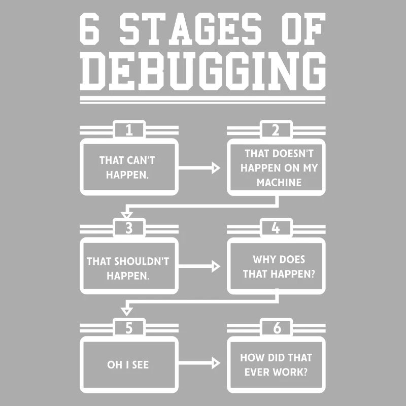 6 Stages of Debugging Software Programmeur