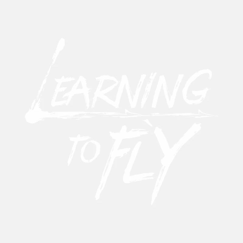 Learning to fly Flying Airplane Pilot Flyer