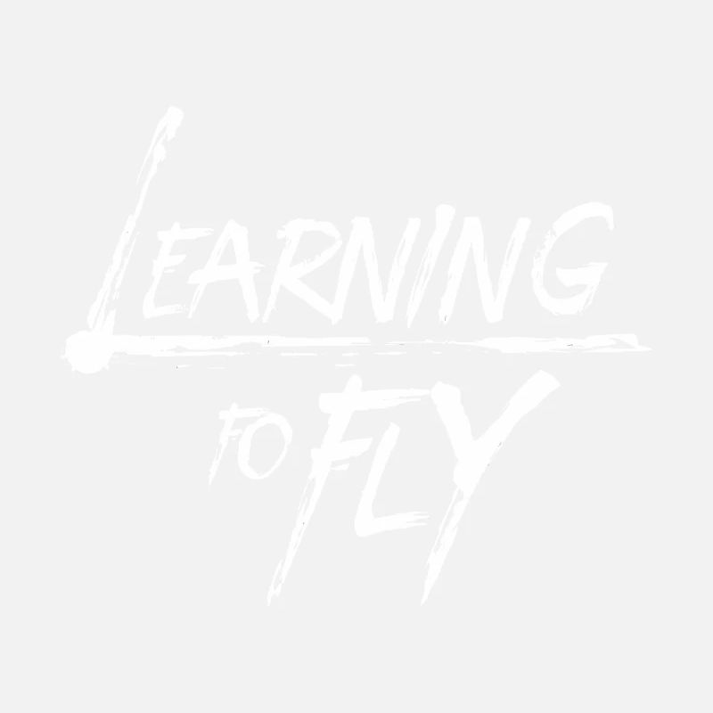 Learning to fly Flying Airplane Pilot Flyer