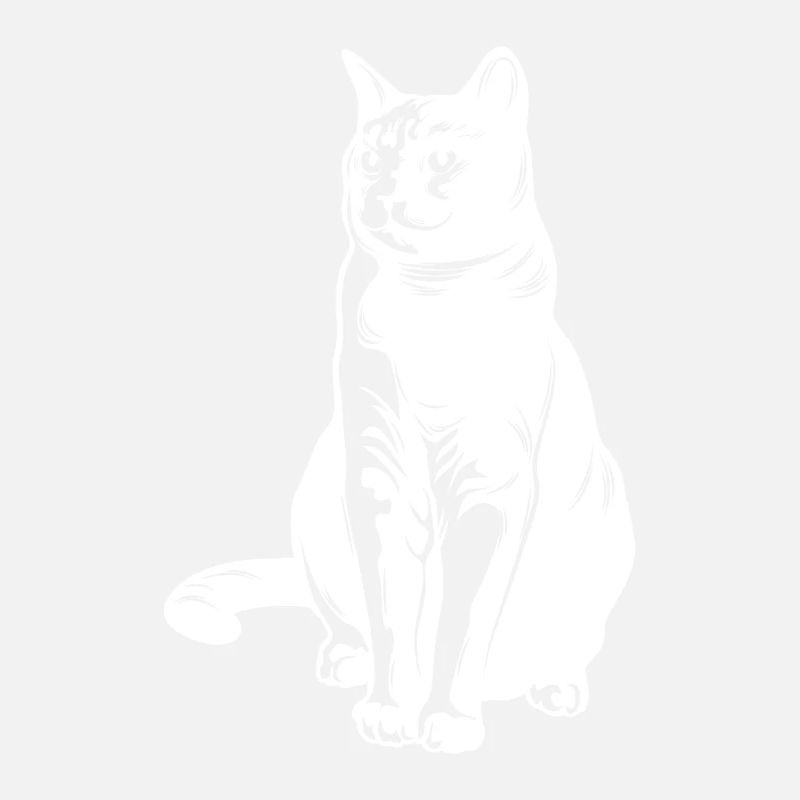 Katze Tier Silhouette