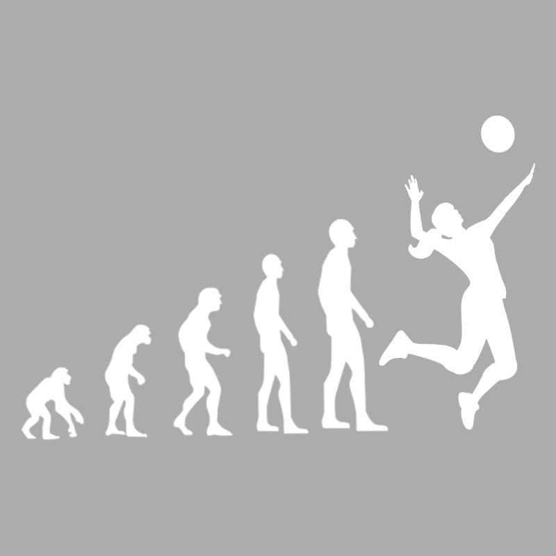 Volleyball Evolution