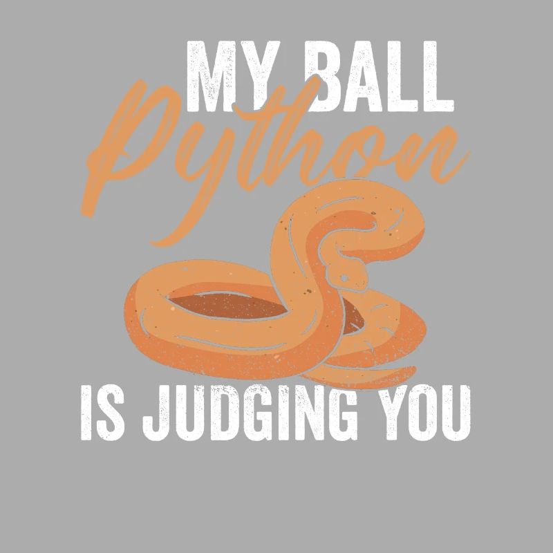 Python Königspython Banana Ball Python