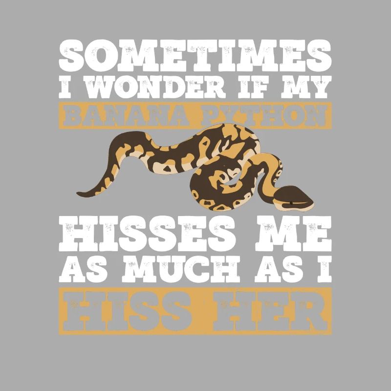 Banana Ball Python Königsphython