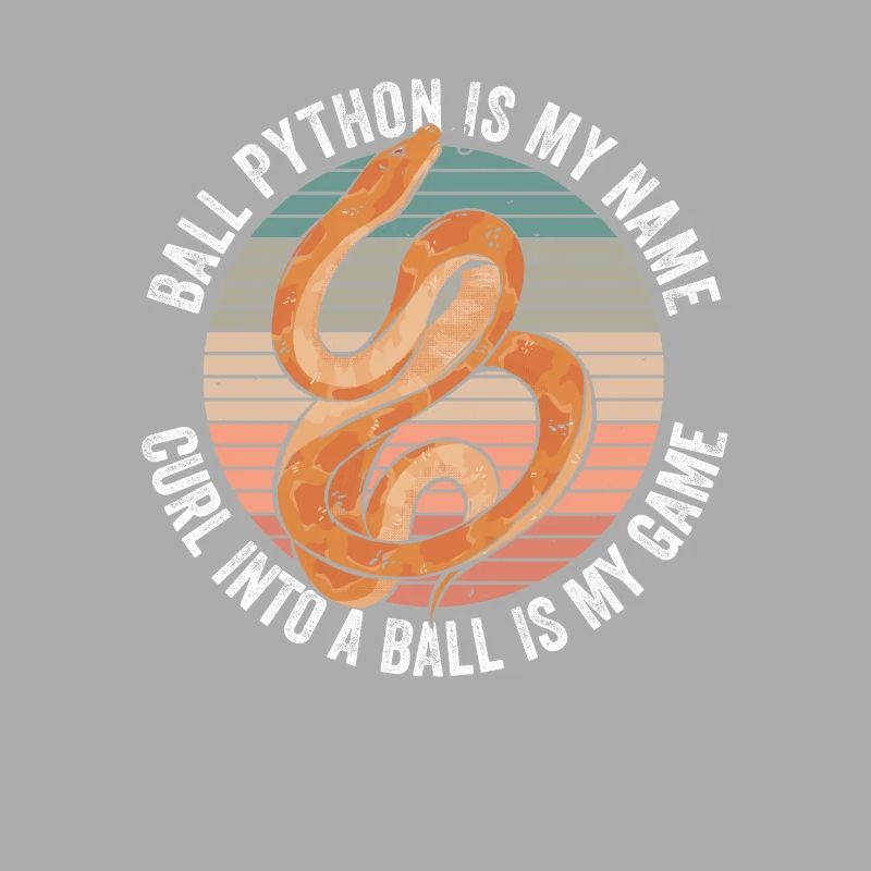 Königspython Bananenkugel Python