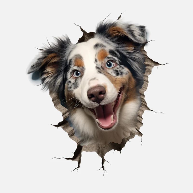 Australian Shepherd Owner - Perfect Aussie