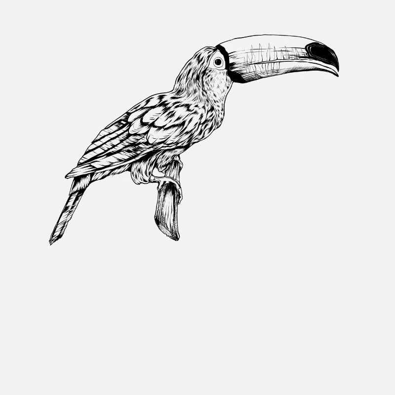 Dessin de contour - Toucan