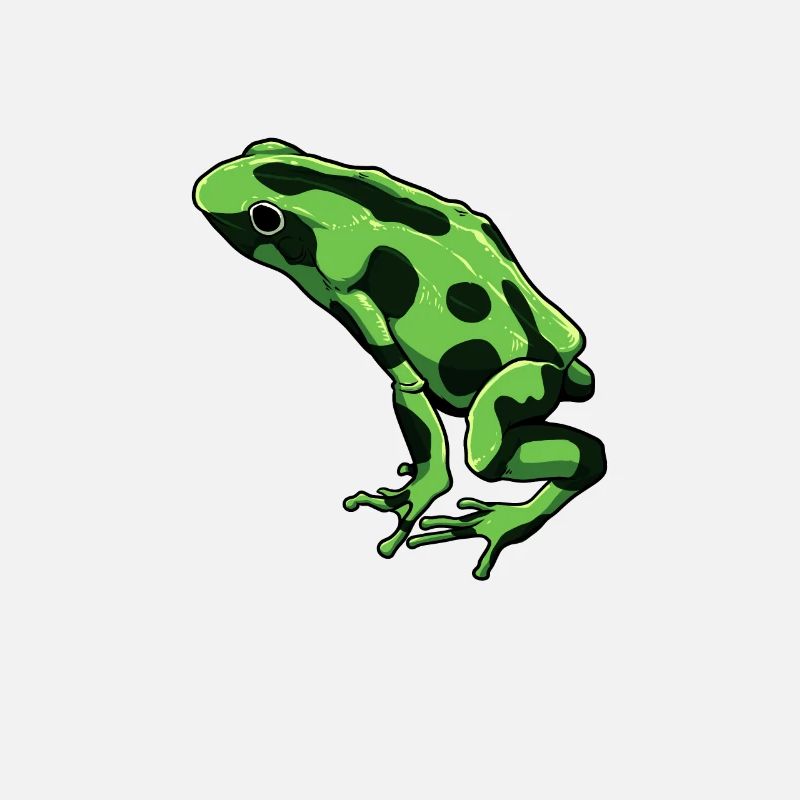 Dessin de grenouille - Terrible grenouille flèche empoisonnée