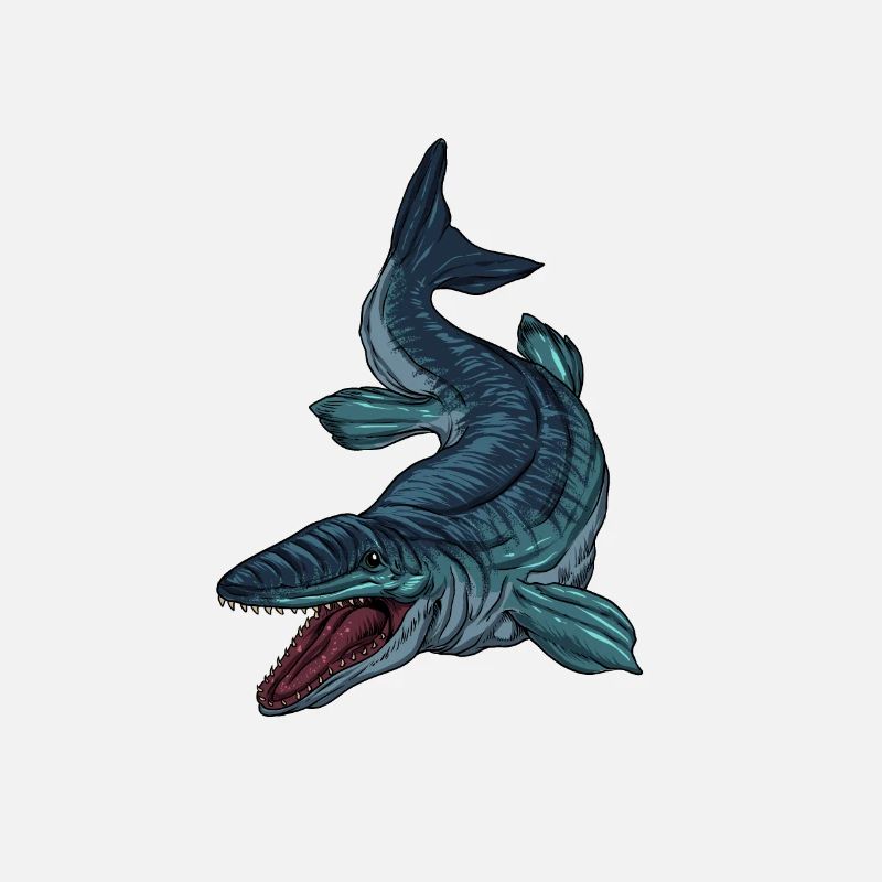 Drawing of the Mosasaurus