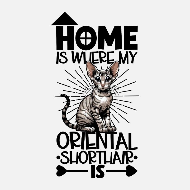 Home - Oriental Shorthair