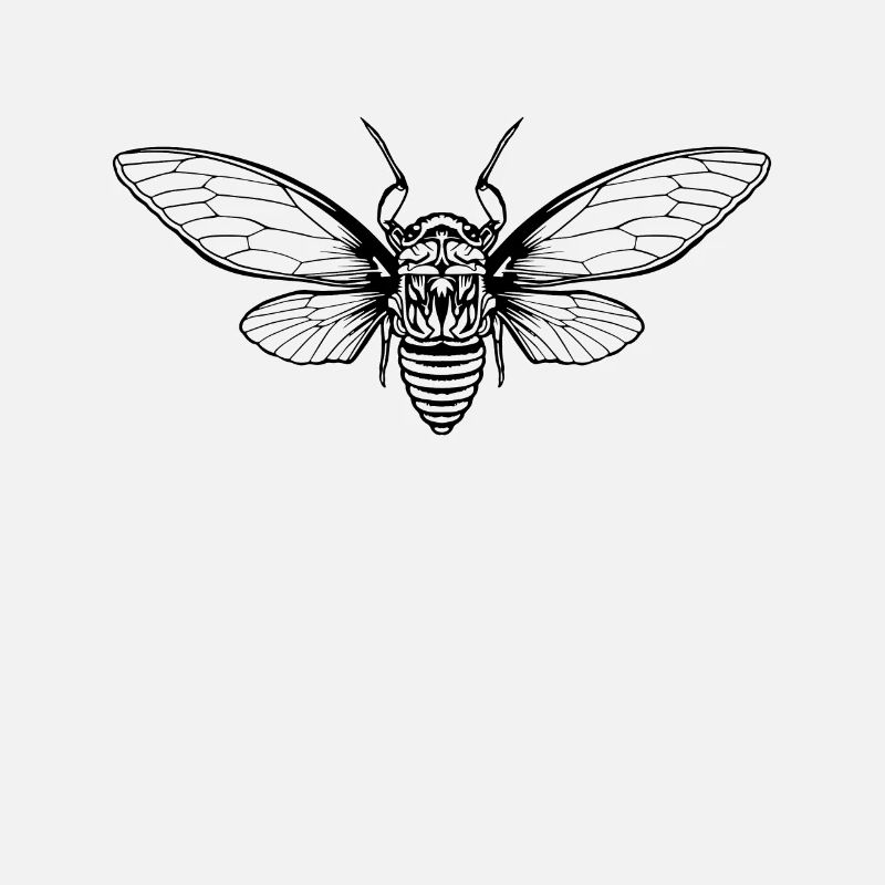 Cigale Cigale Couvain Insecte