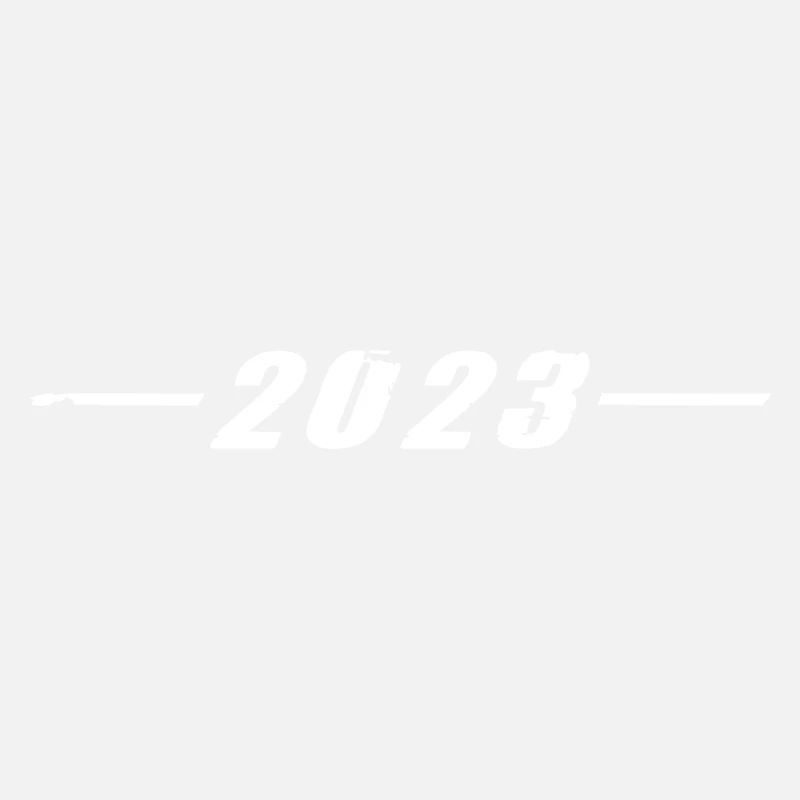 2023 year