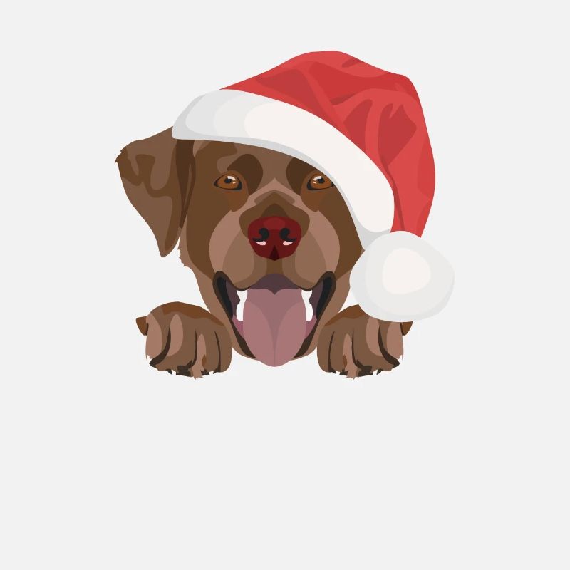 Joyeux Noël Labrador