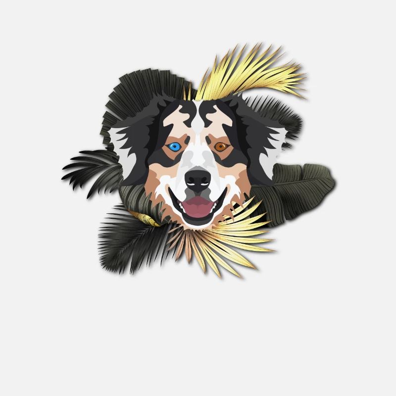 Golden Dog Australian Shepherd